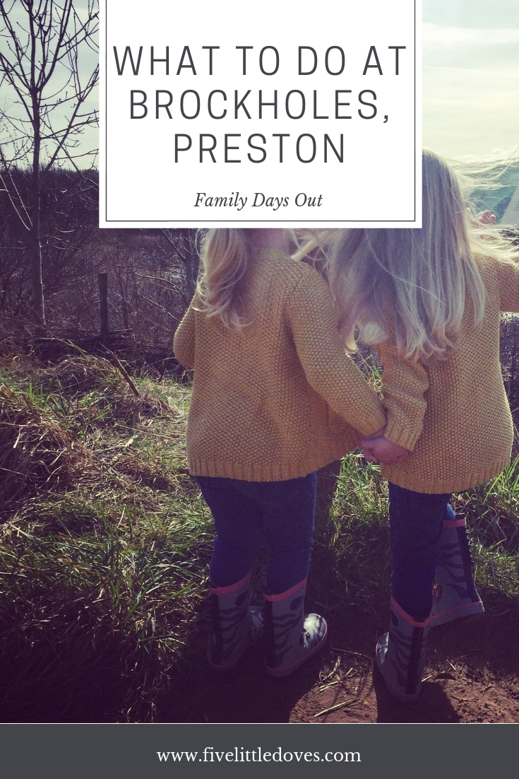 What to do at Brockholes In Preston | Spending time together as a family is such a priority for us, and we like to go to Brockholes in Preston ot let the kids burn off some energy and run around outside. It has everything you need for the perfect family day off - if you can avoid the toddler tantrums! www.fivelittledoves.com