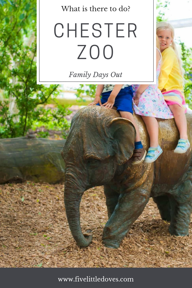 What is there to do at Chester Zoo? | Chester zoo has amazing facilities to cater to all ages for the perfect family day out. Aside from the animals to visit there is also the play zones with a huge sand pit and a water area for children to play in. If you are looking to create memories as a family and give your children the ultimate zoo experience then this is not one to be missed www.fivelittledoves.com