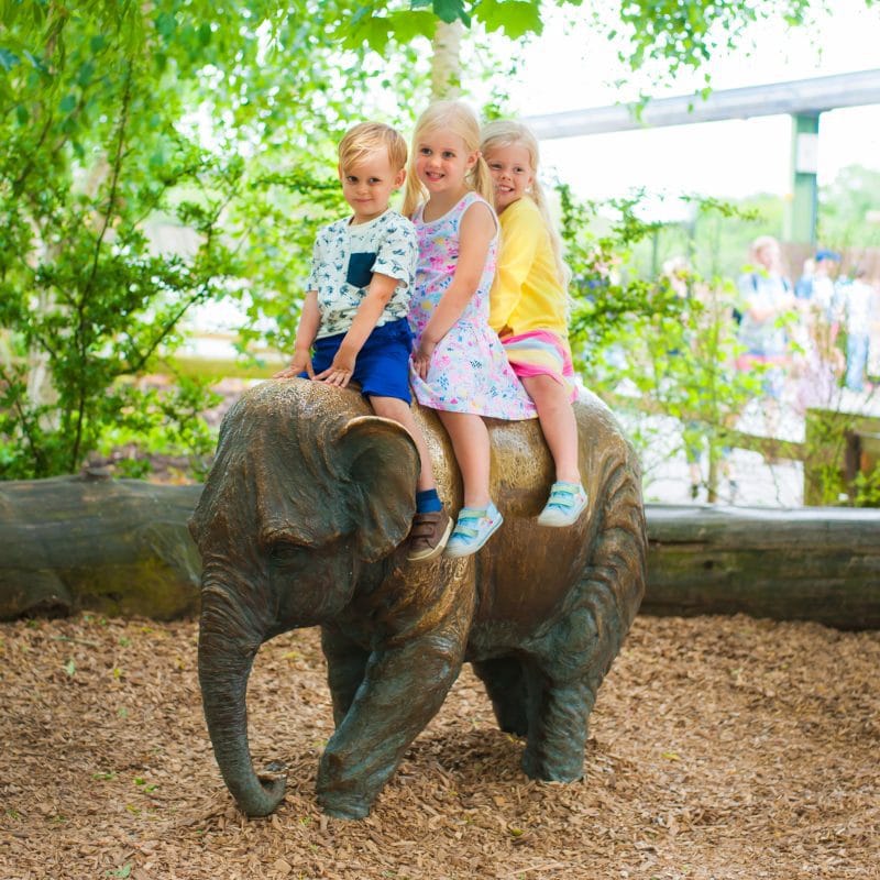 Our trip to Chester Zoo 2017