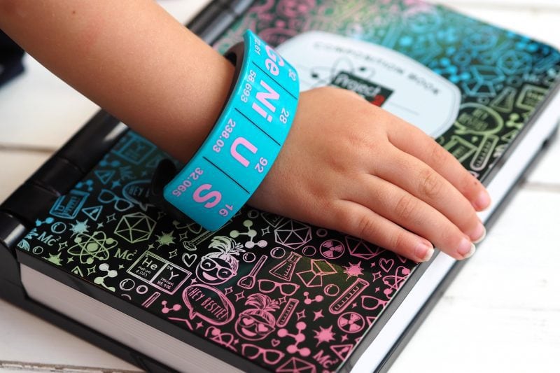 Project Mc2 Spy Notebook