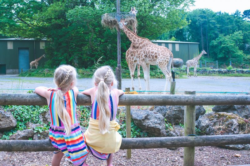 Visit South Devon: Paignton Zoo