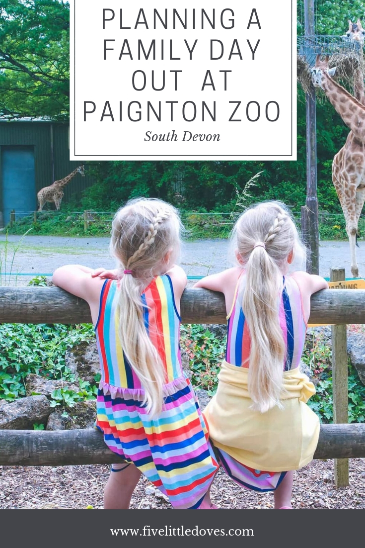 Planning A Family Day Out At Paignton Zoo | If you are looking for activites in South Devon then consider a visit to Paignton zoo. Fun for the whole family, with lots to see and do. Read this post to find out what a family of 5 got up to www.fivelittledoves.com