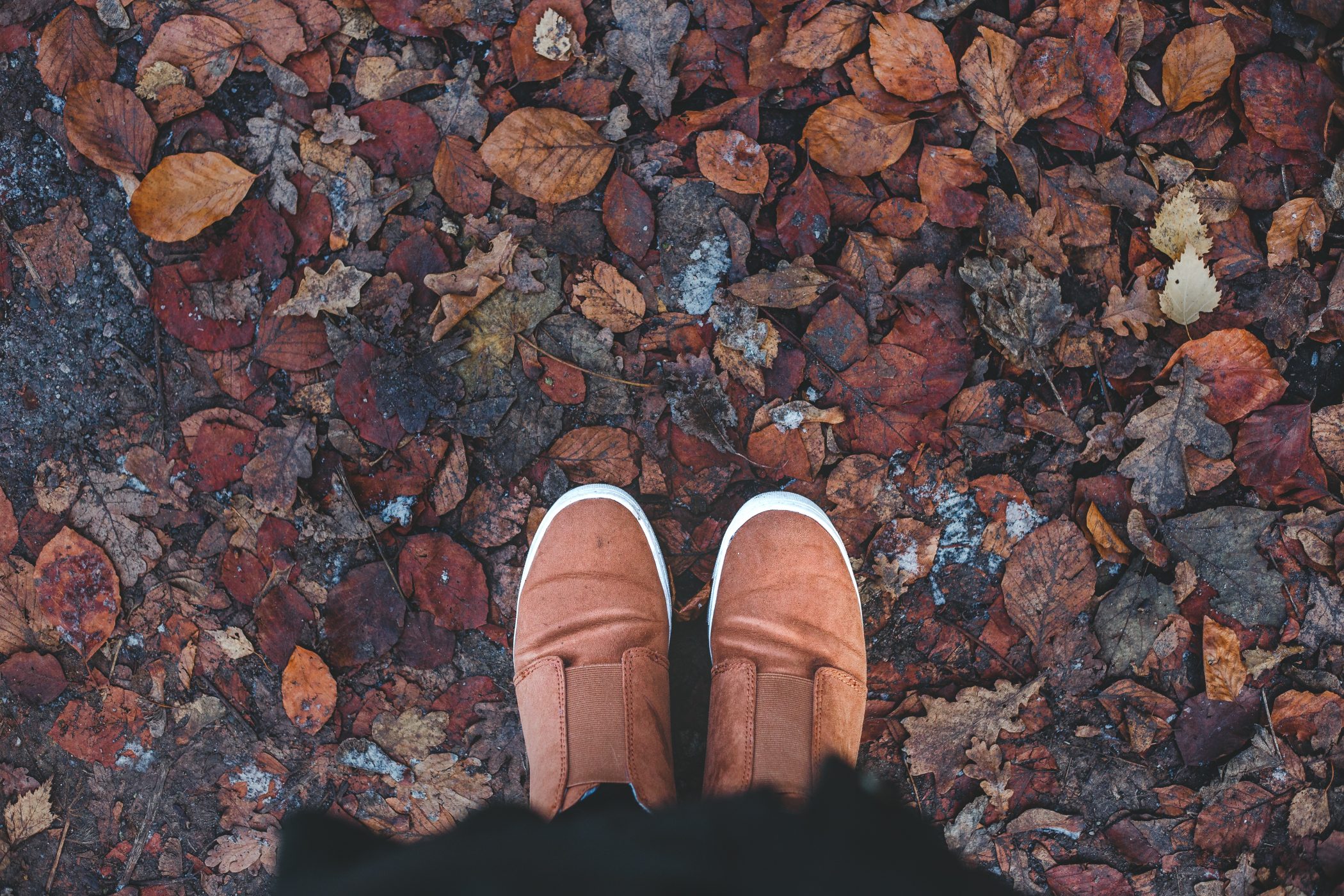 Three Fall Shoe Trends That Aren’t Boots