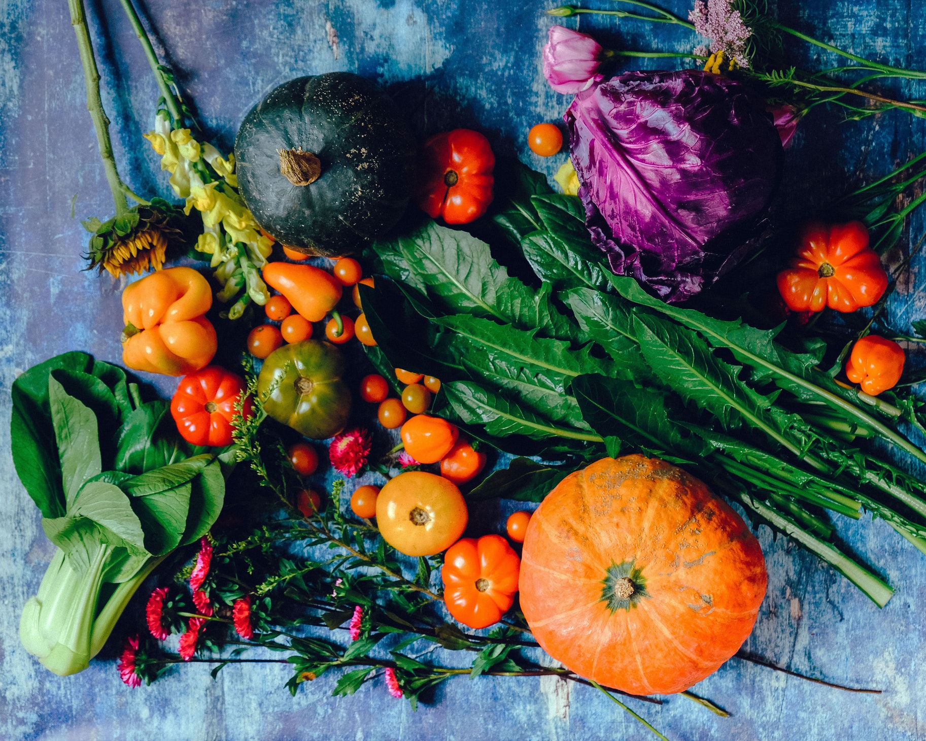 Why You Should Get the Kids Involved in Growing Fruit and Veg 