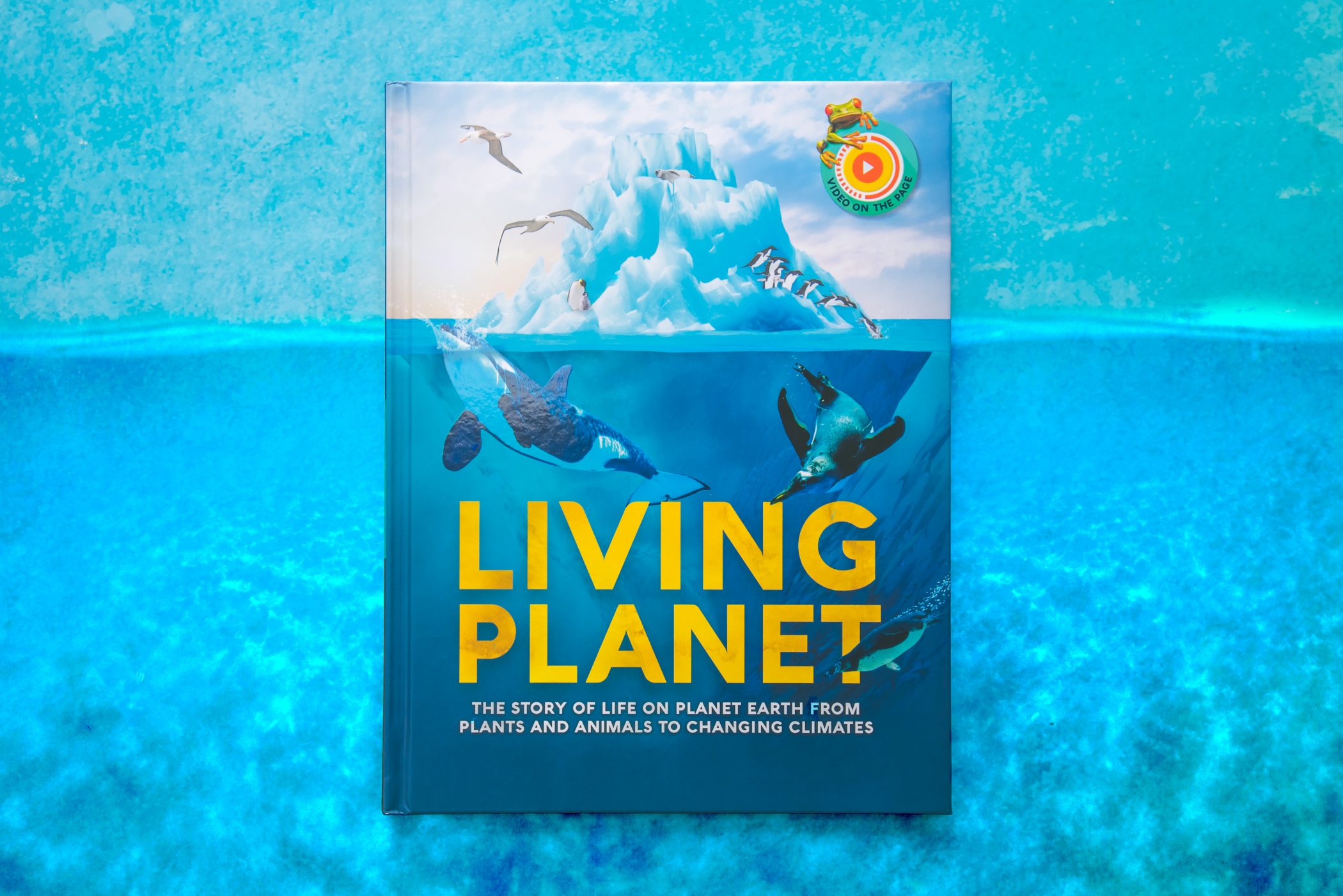 ** WIN **  Living Planet: The Story of survival on Planet Earth RRP £12.99