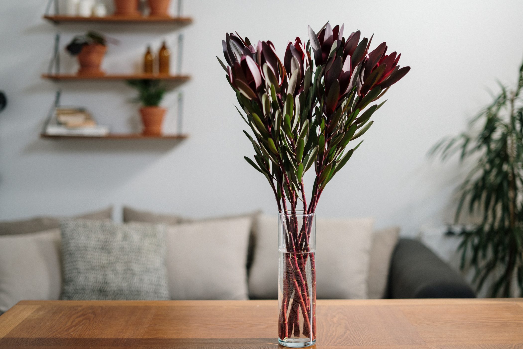 Subtle Home Improvements That Make a Big Difference