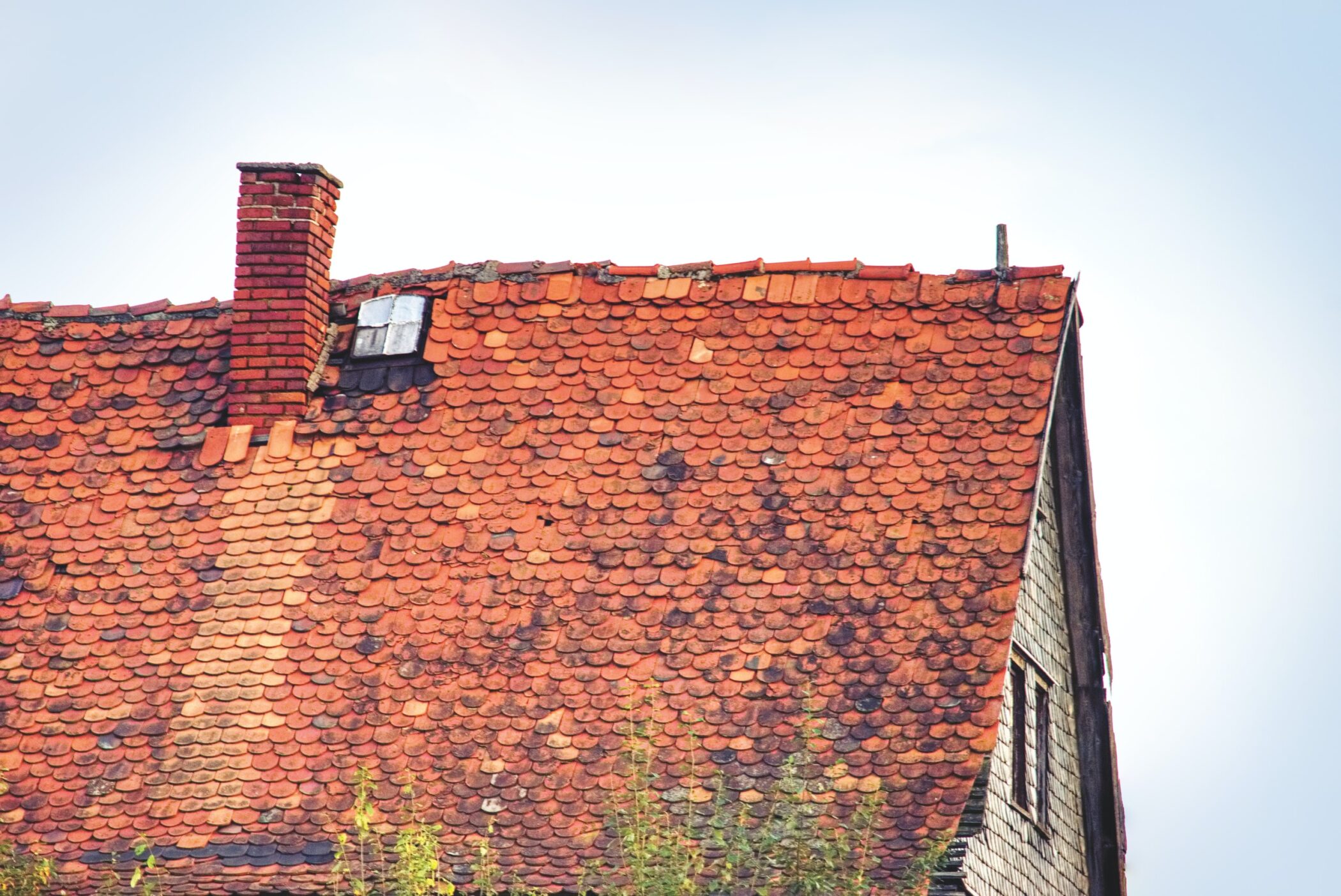 Common Roof Damage You Need to Be Aware Of