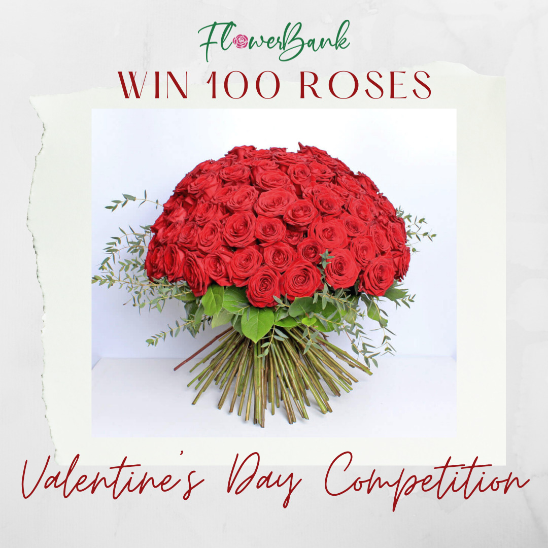 Win 100 red roses delivered to your door by Flowerbank