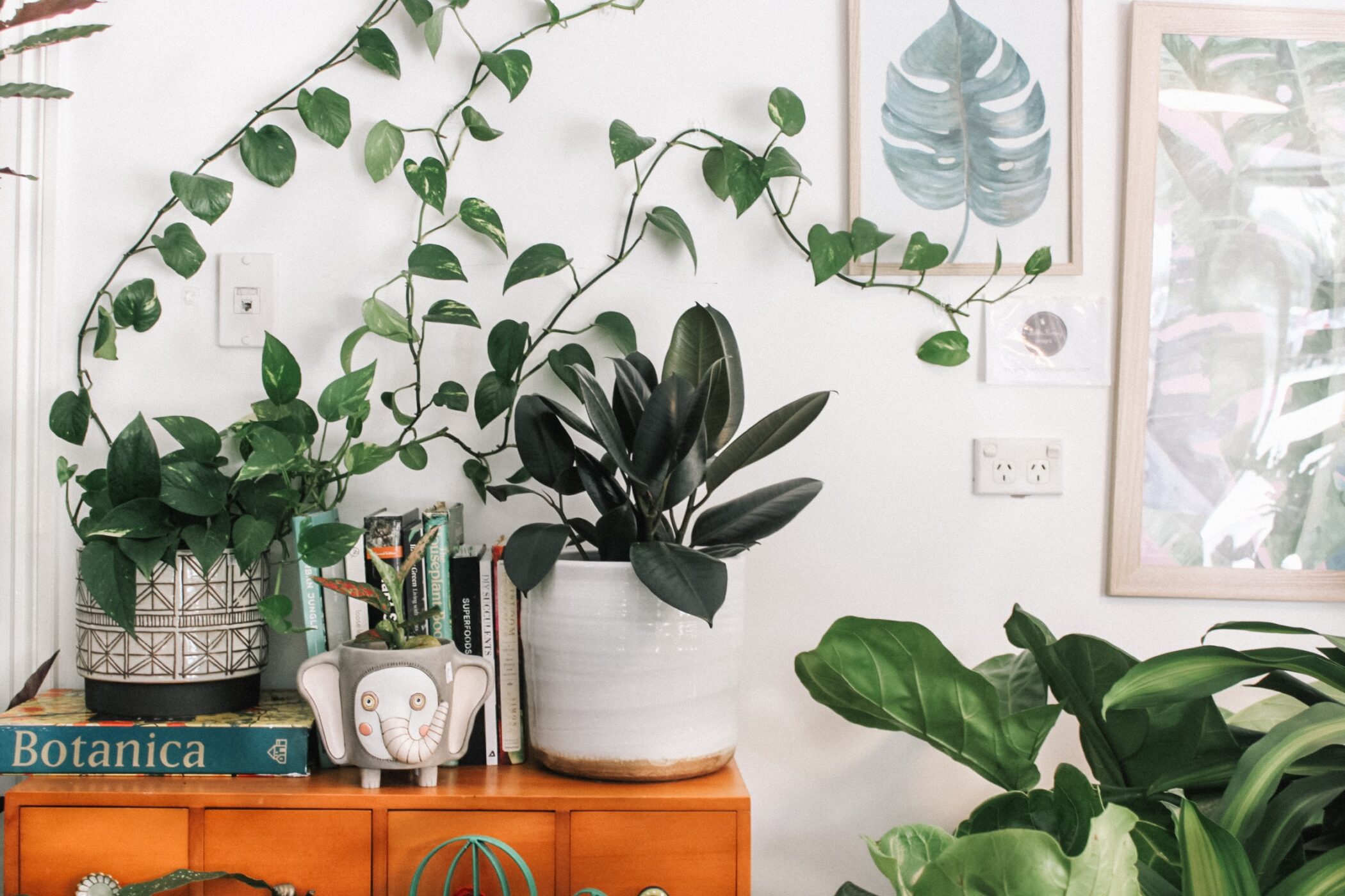 How to Decorate Your Home with Artificial Plants