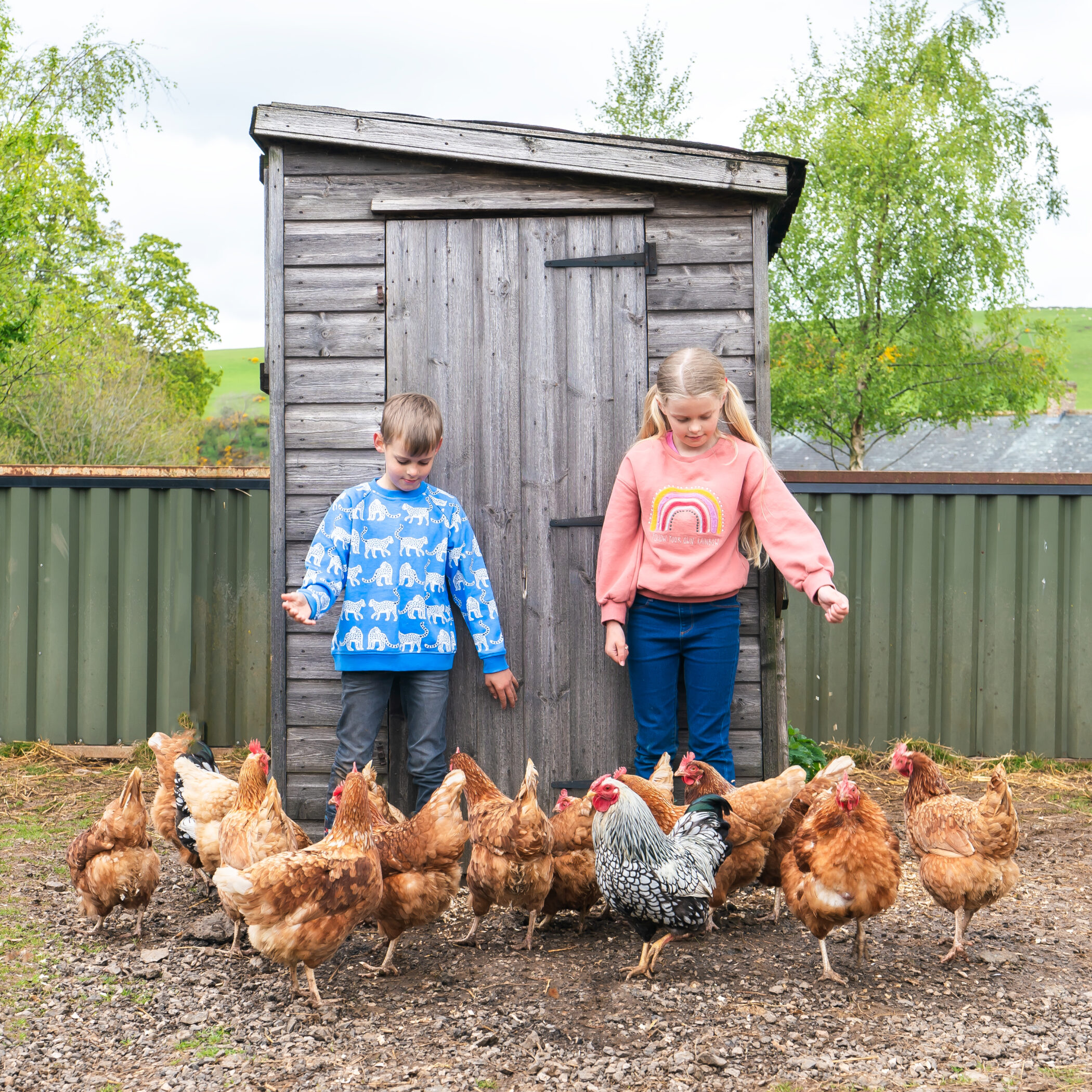 Our stay at Featherdown, Lake District Farm
