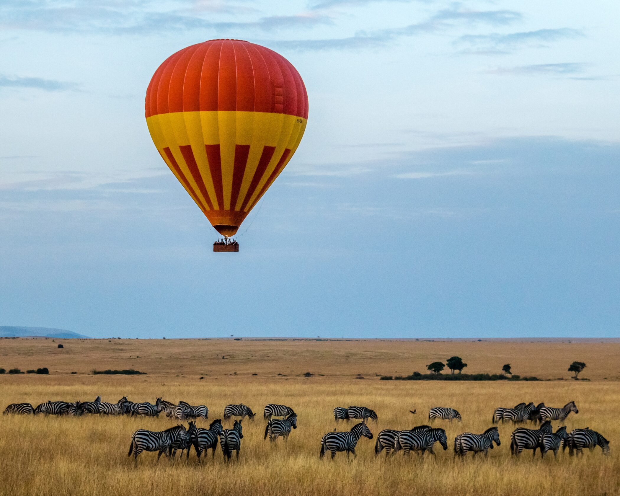 African safari tips for a big family