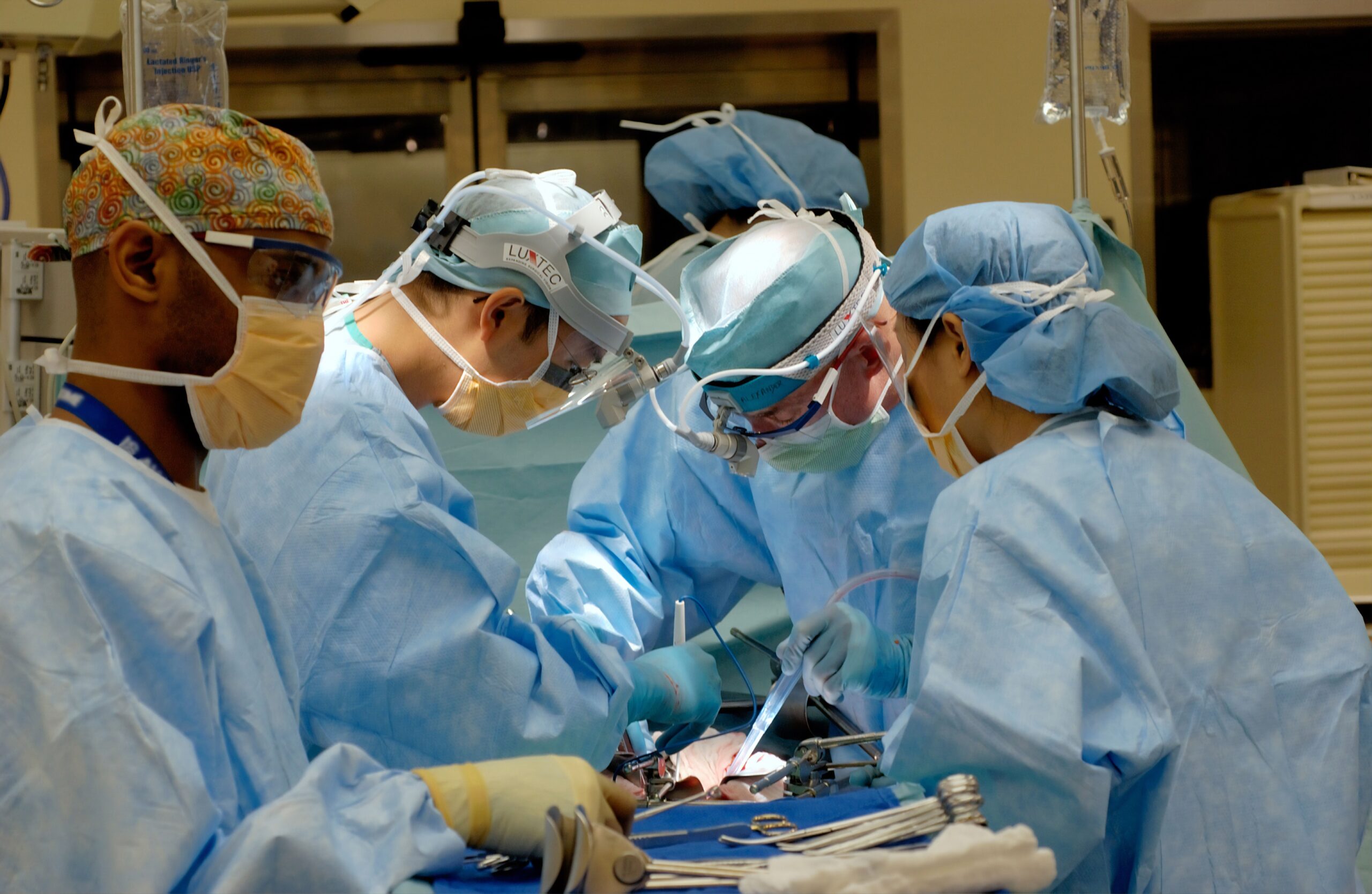 How To Learn Anatomy As A Medical Student?