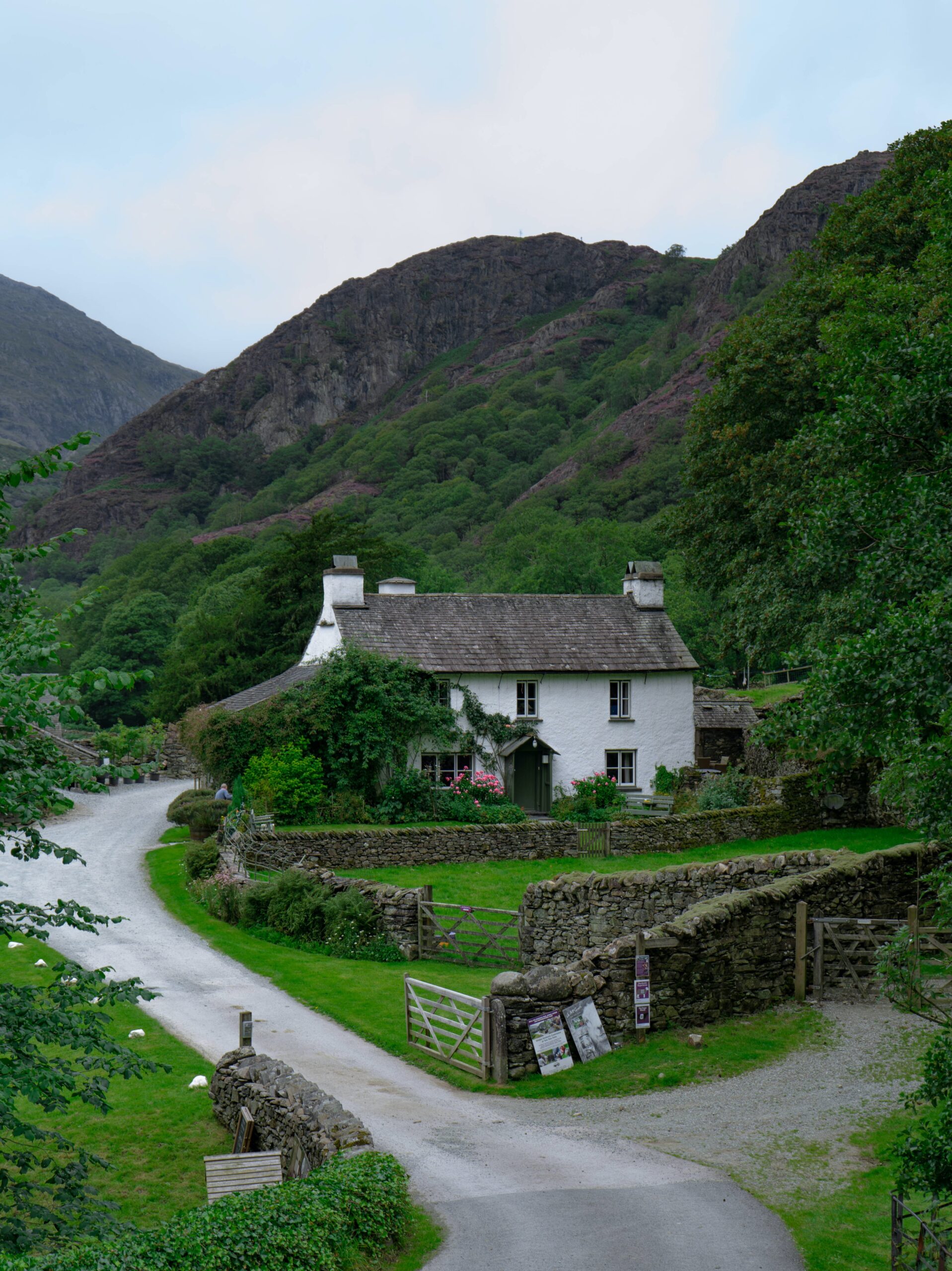 Moving to the Country: 4 Things to Bear in Mind Before You Make the Move