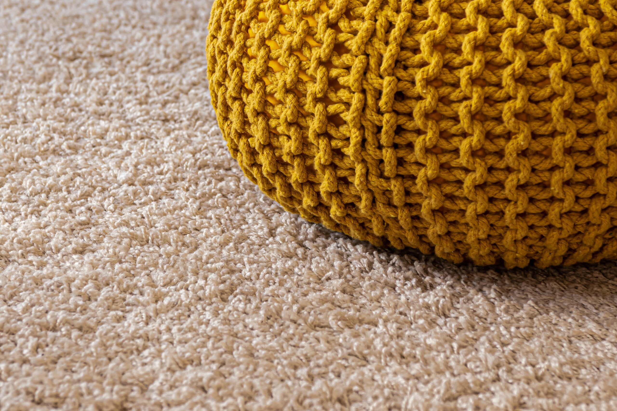 Carpet Urine Removal After It Has Dried