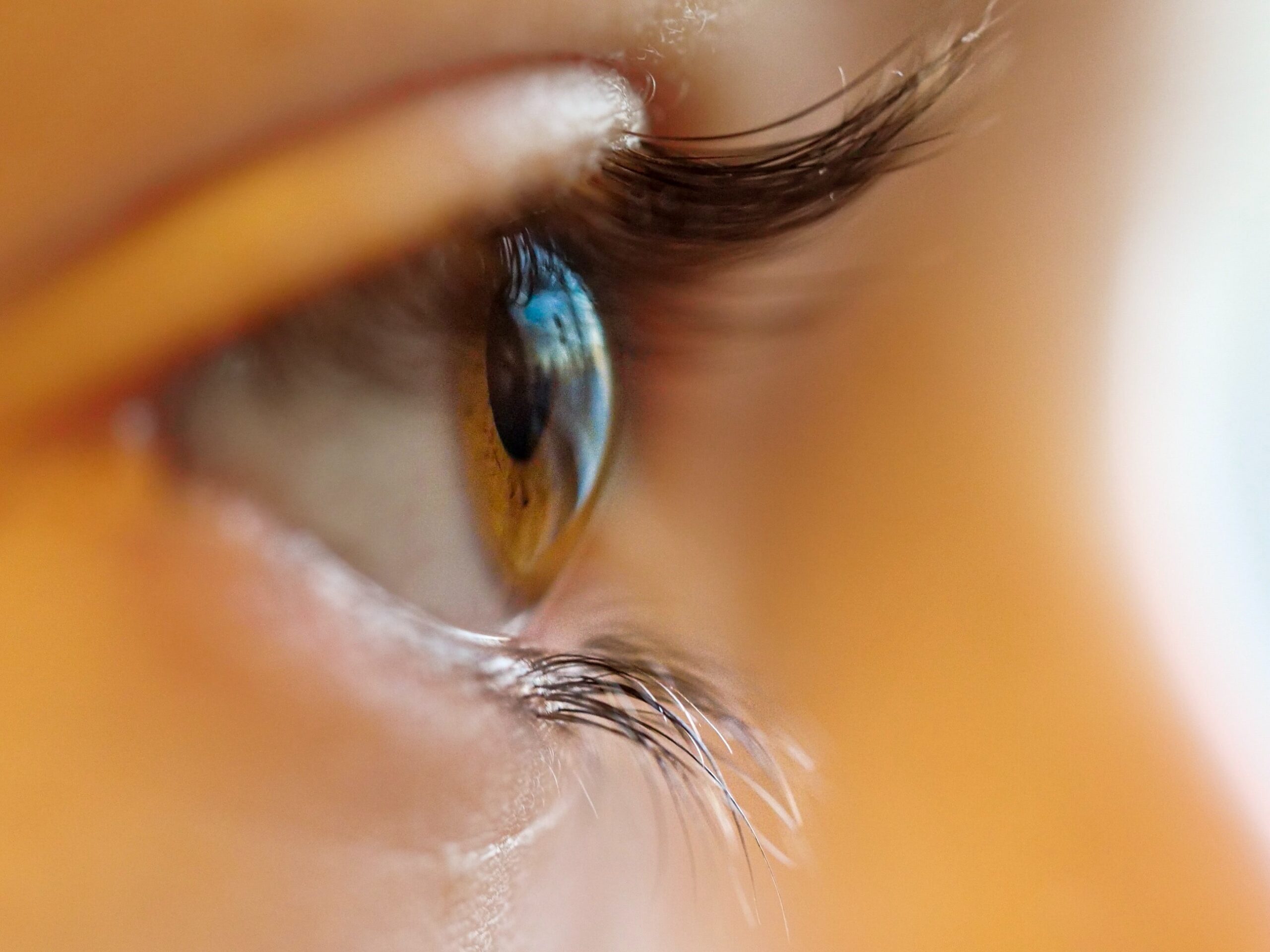 All You Need to Know About Contact Lenses 
