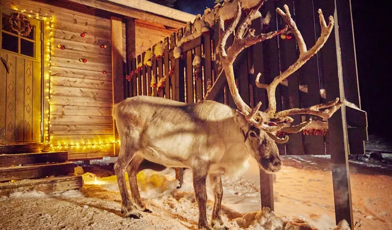 Santas Lapland