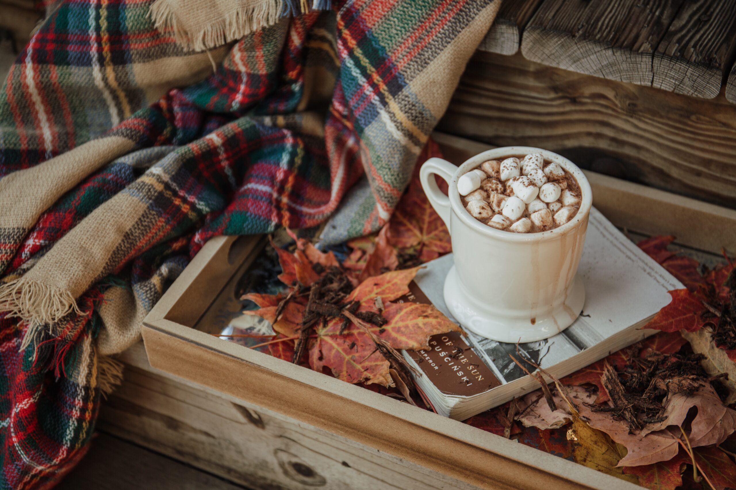 Use These 8 Tips to Make Your Home a Cozy Haven