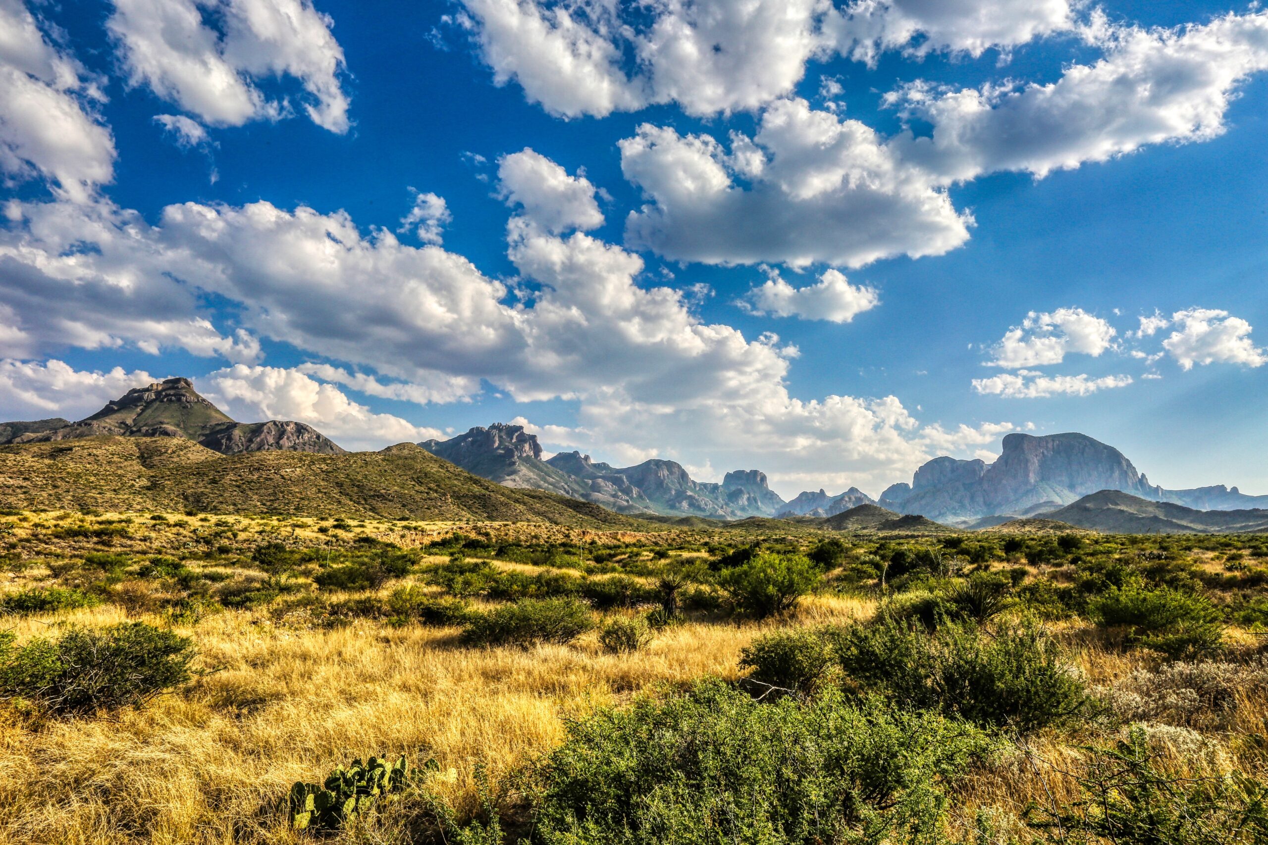4 Great Things to Do While Touring Texas