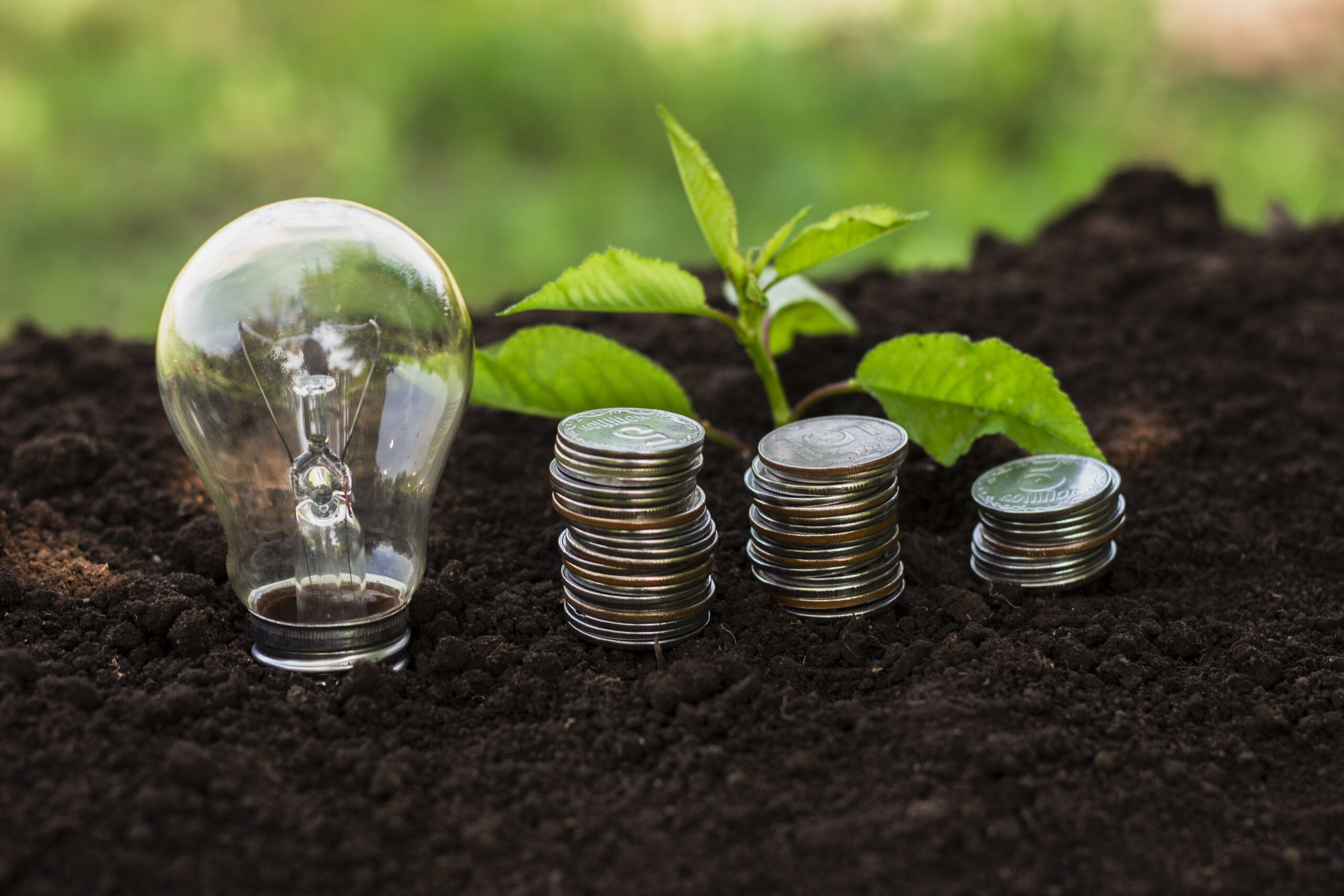 Reasons Why Green Bonds are the Future of Investing