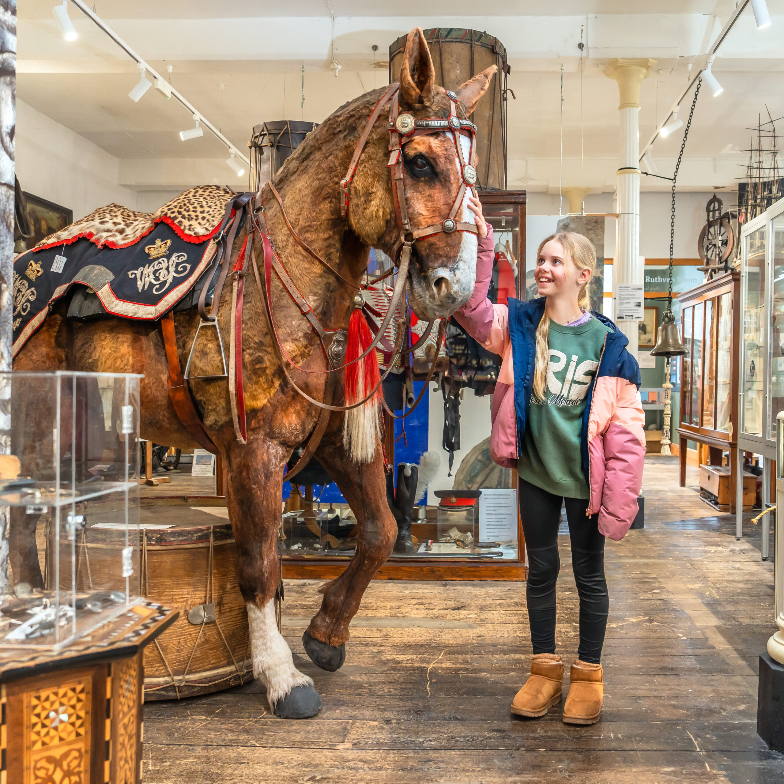 Kendal Museum, Let's Go Culture 