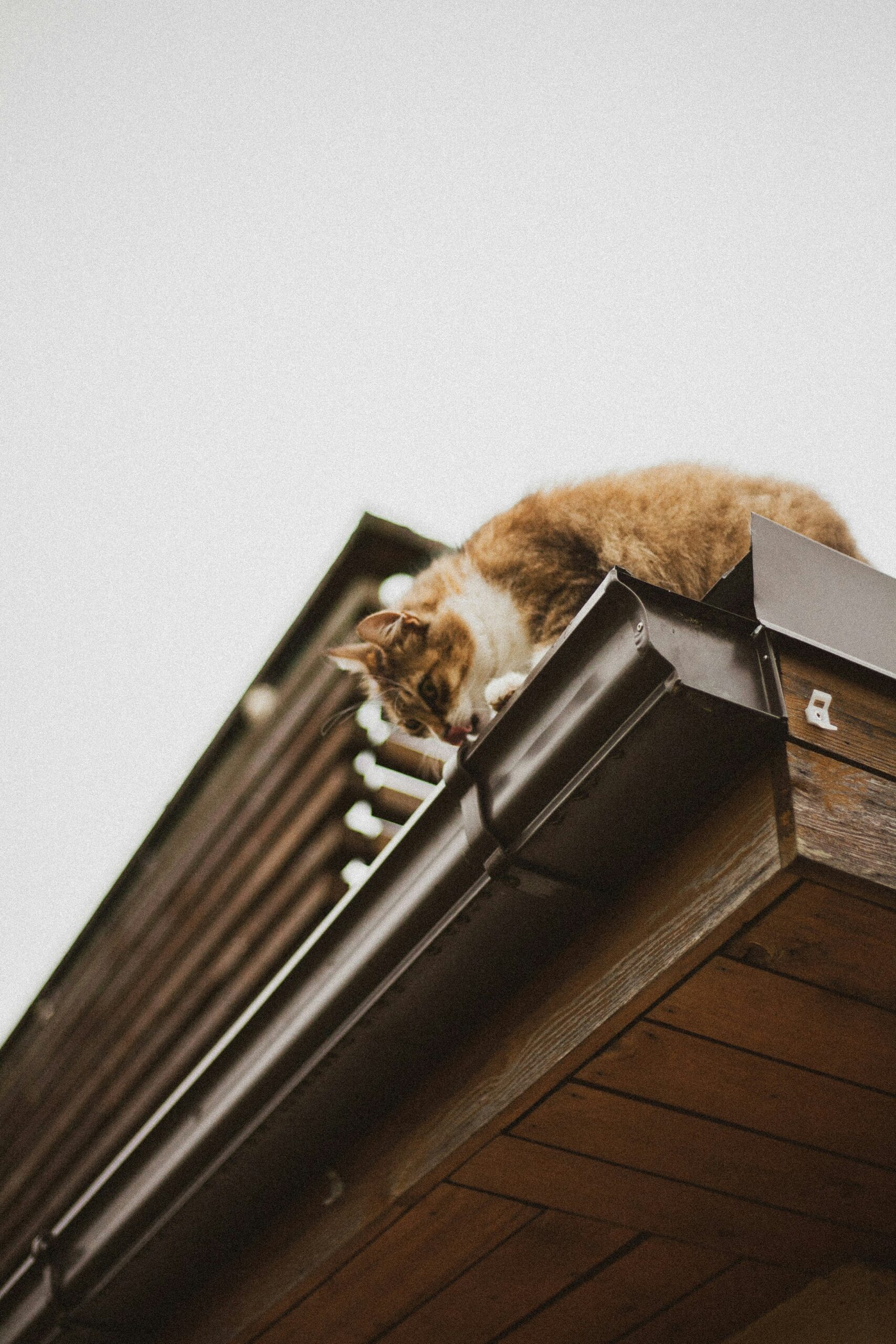 Rain, Rain, Go Away: Signs Your Gutters Need Replacing & How to Tackle Maintenance
