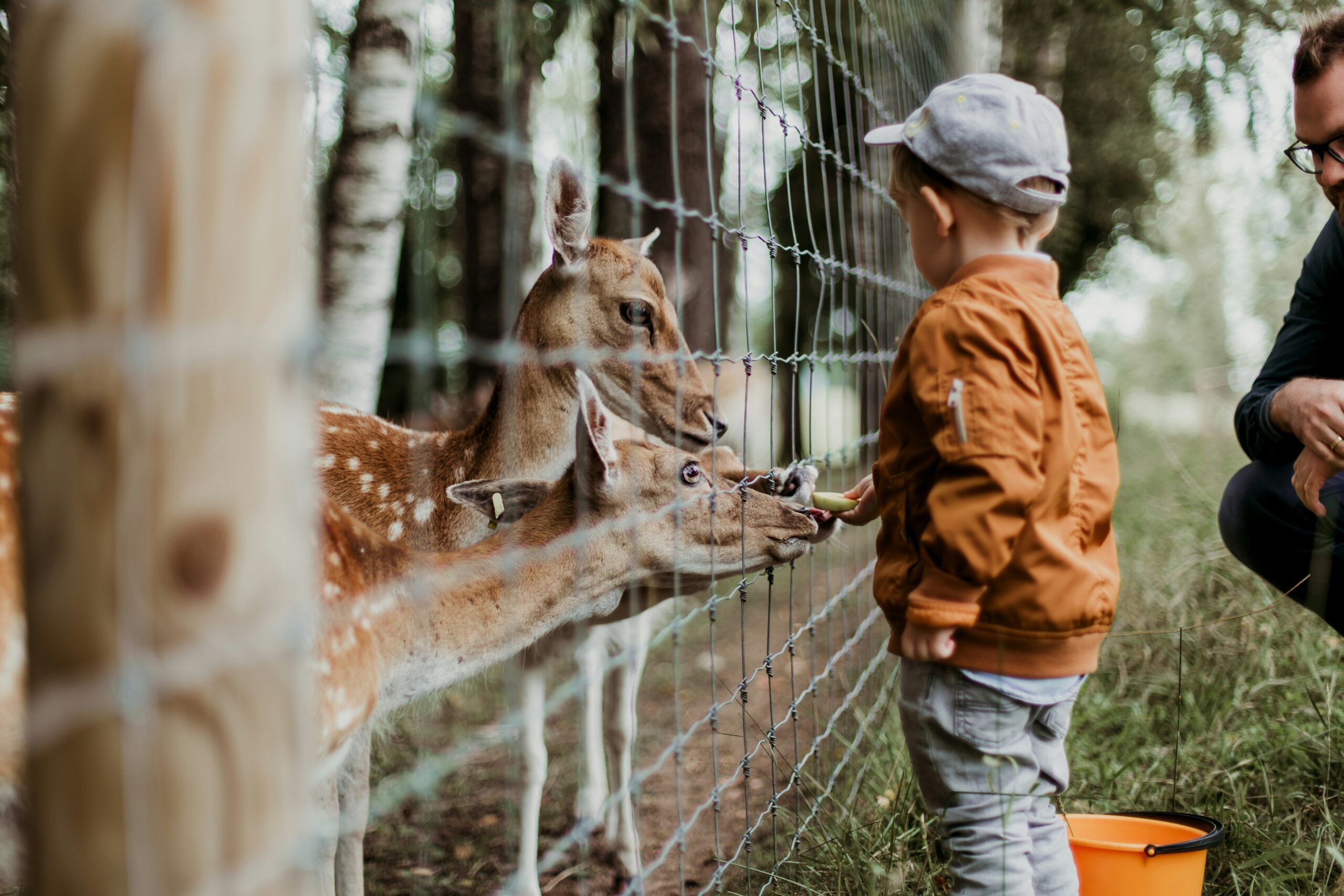 Where To Take The Kids On Vacation In Delaware