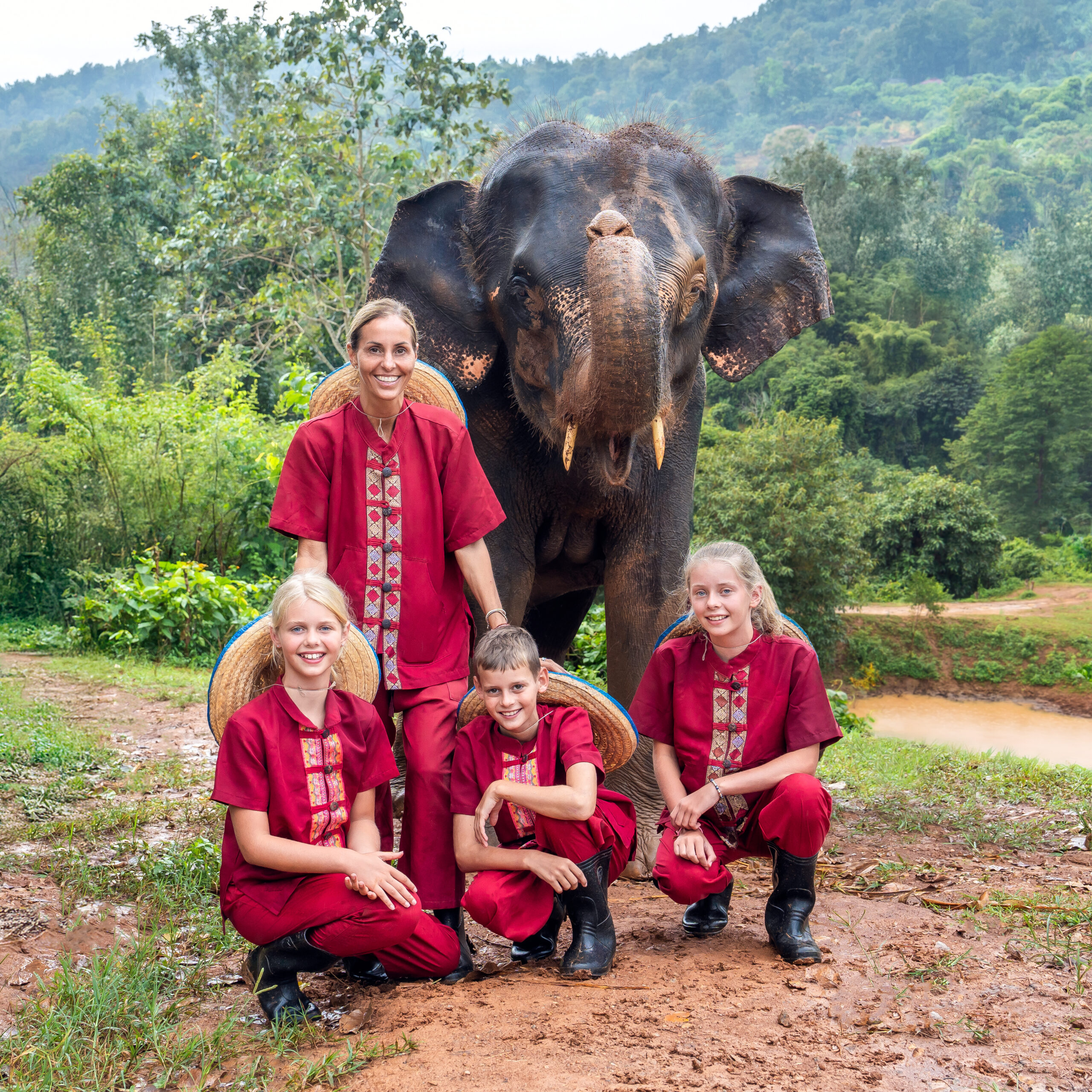 Elephant Rescue Park Chiang Mai, Thailand 