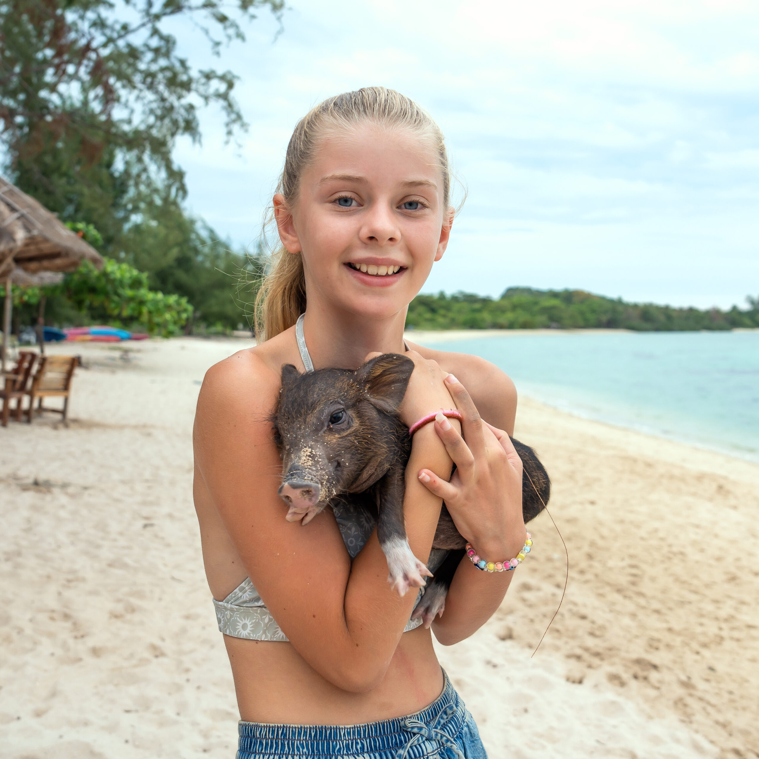 Pig Island excursion, Thailand