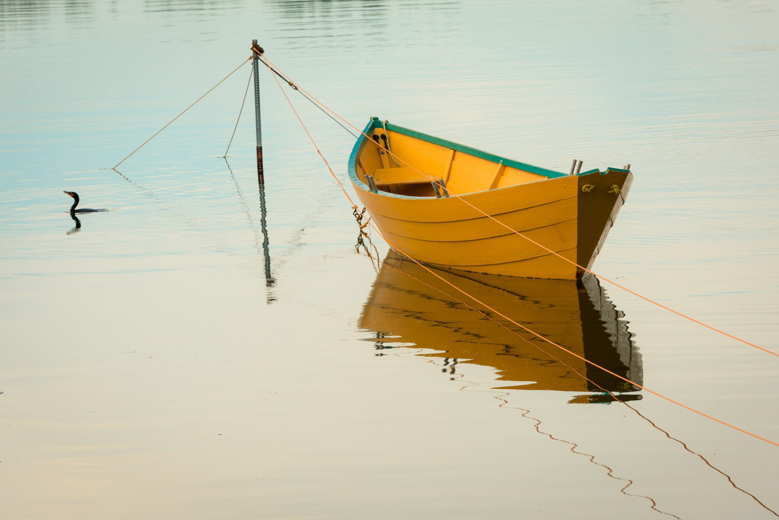 Boat Maintenance Tips: How Demanding Is It Really?