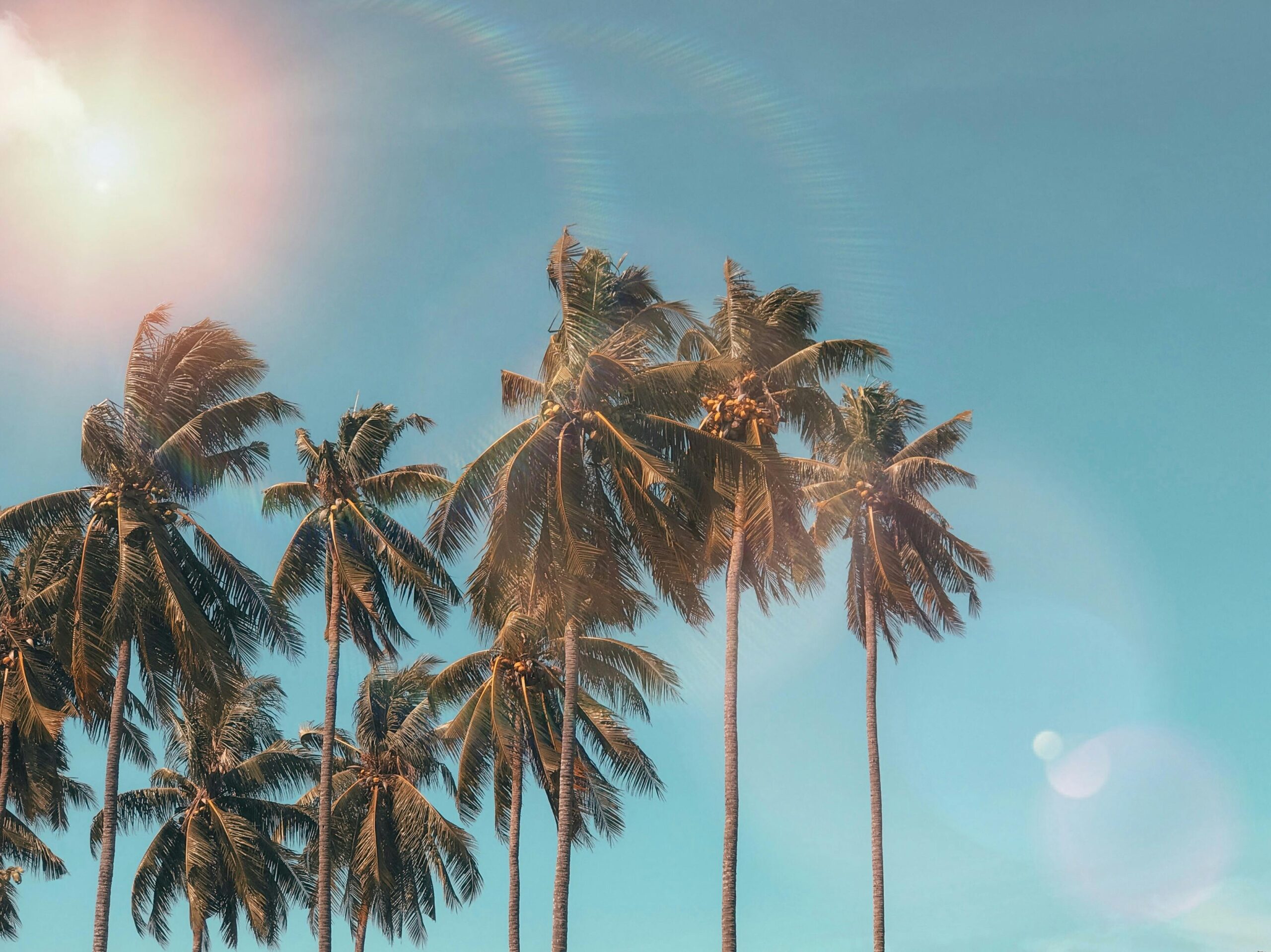 7 Ways To Enhance Your Summer Lifestyle For Maximum Relaxation