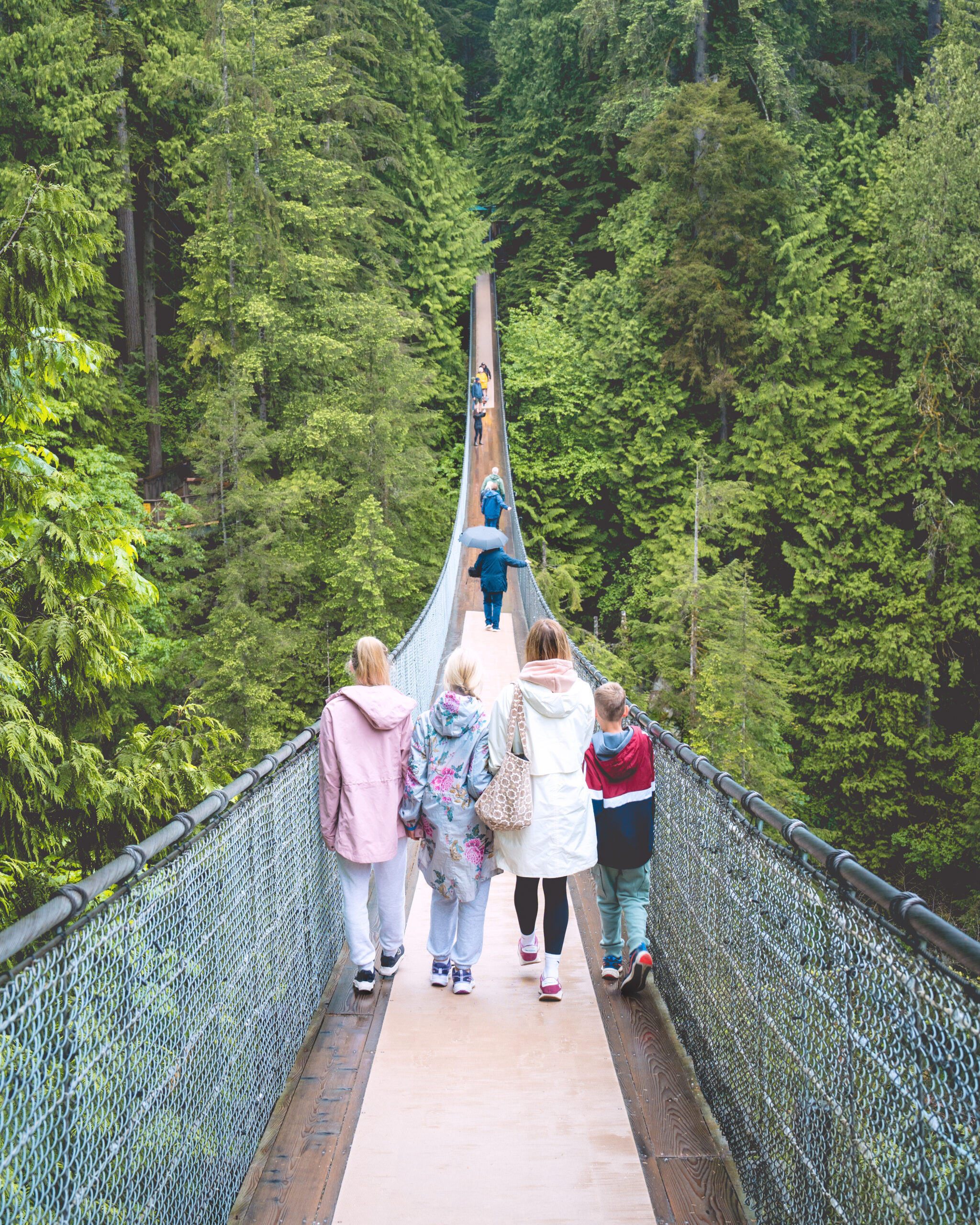 10 day Vancouver itinerary, Capilano Suspension bridge