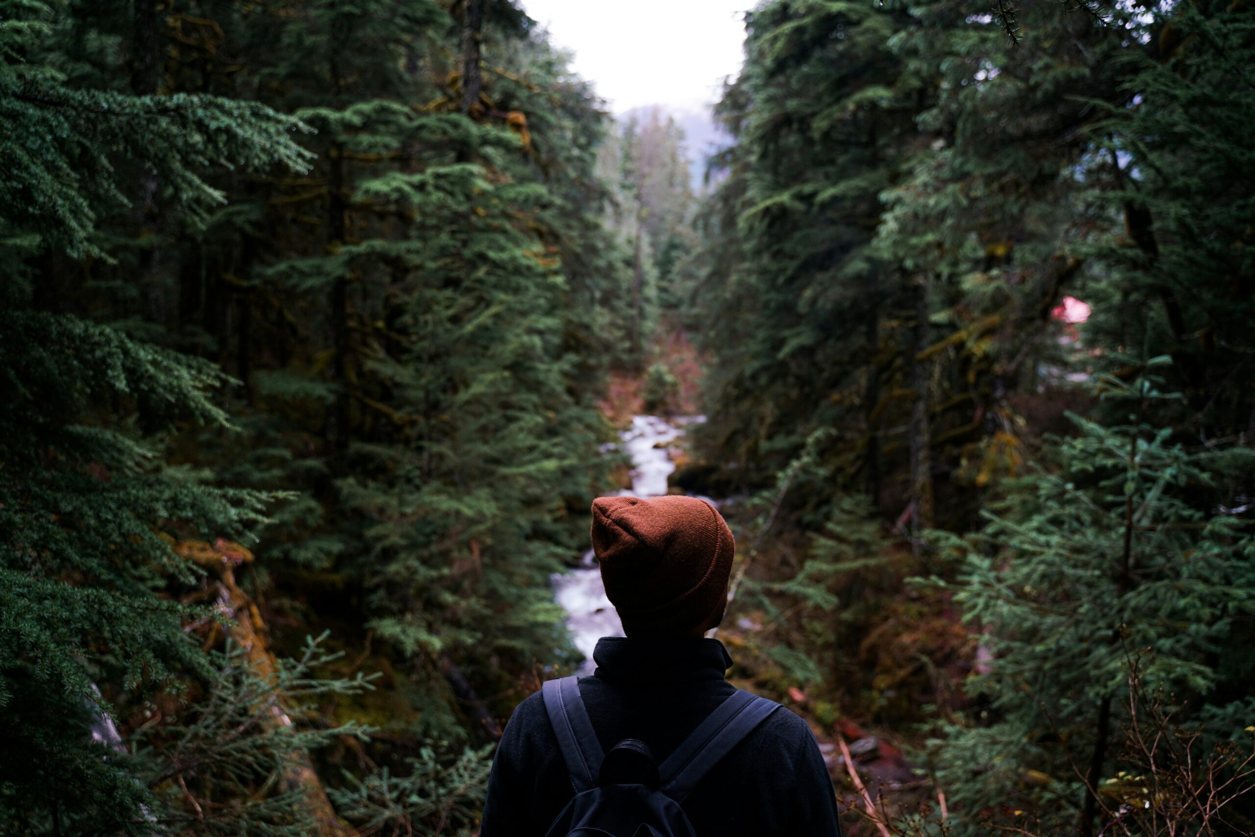 6 Forest Adventure Hacks That Make Family Outings Easy and Fun