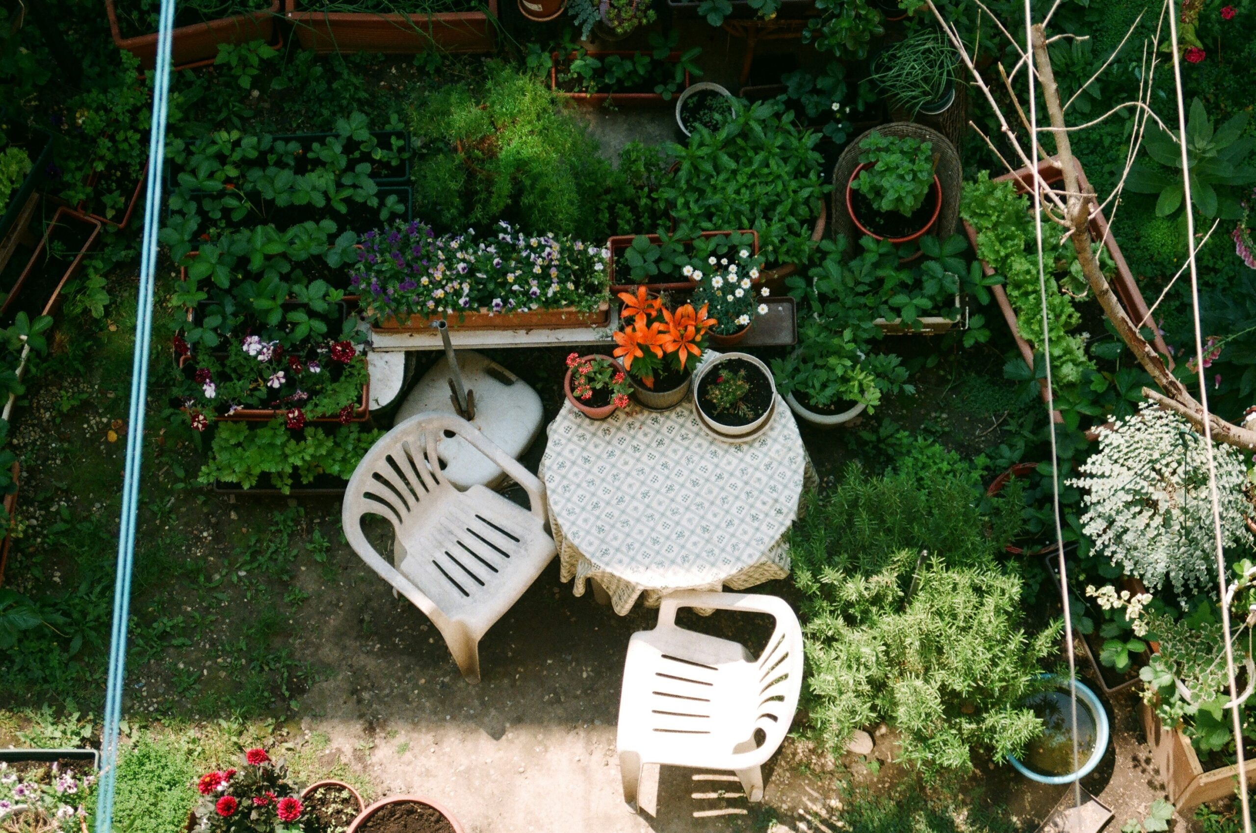 How to Create a Low-Maintenance Outdoor Space