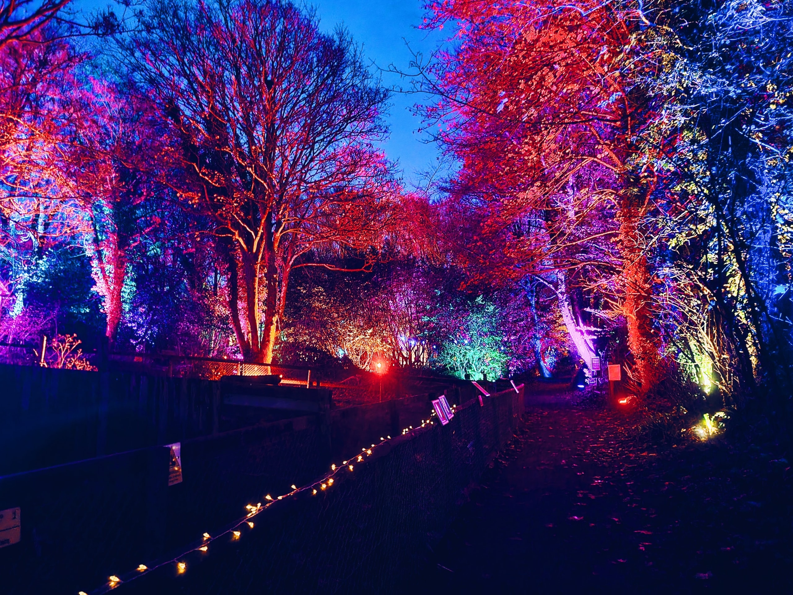 Festive Fun and Unlimited Visits: Discover What’s New at Dartmoor Zoo