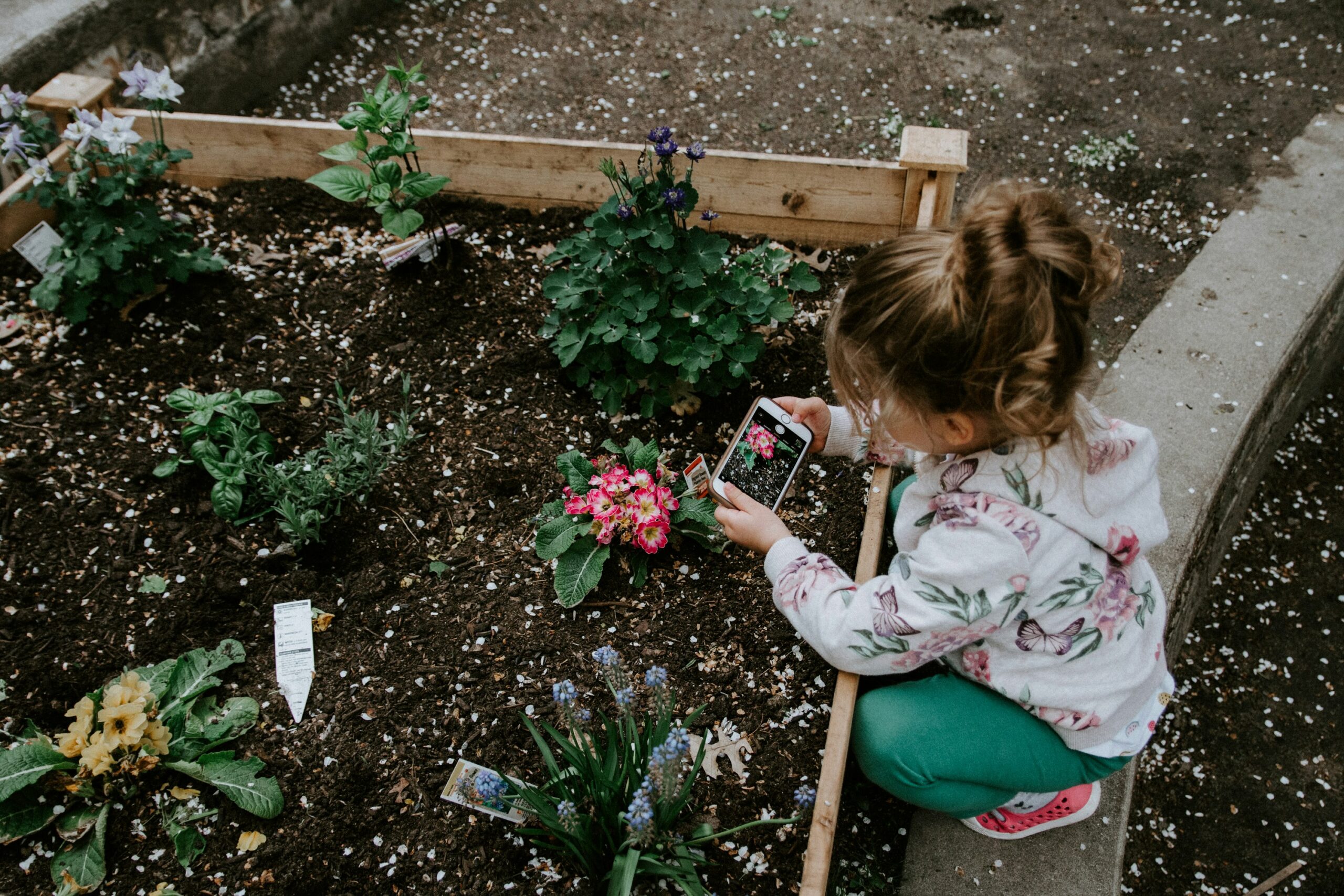 Simple Gardening Projects to Do with Children This Spring