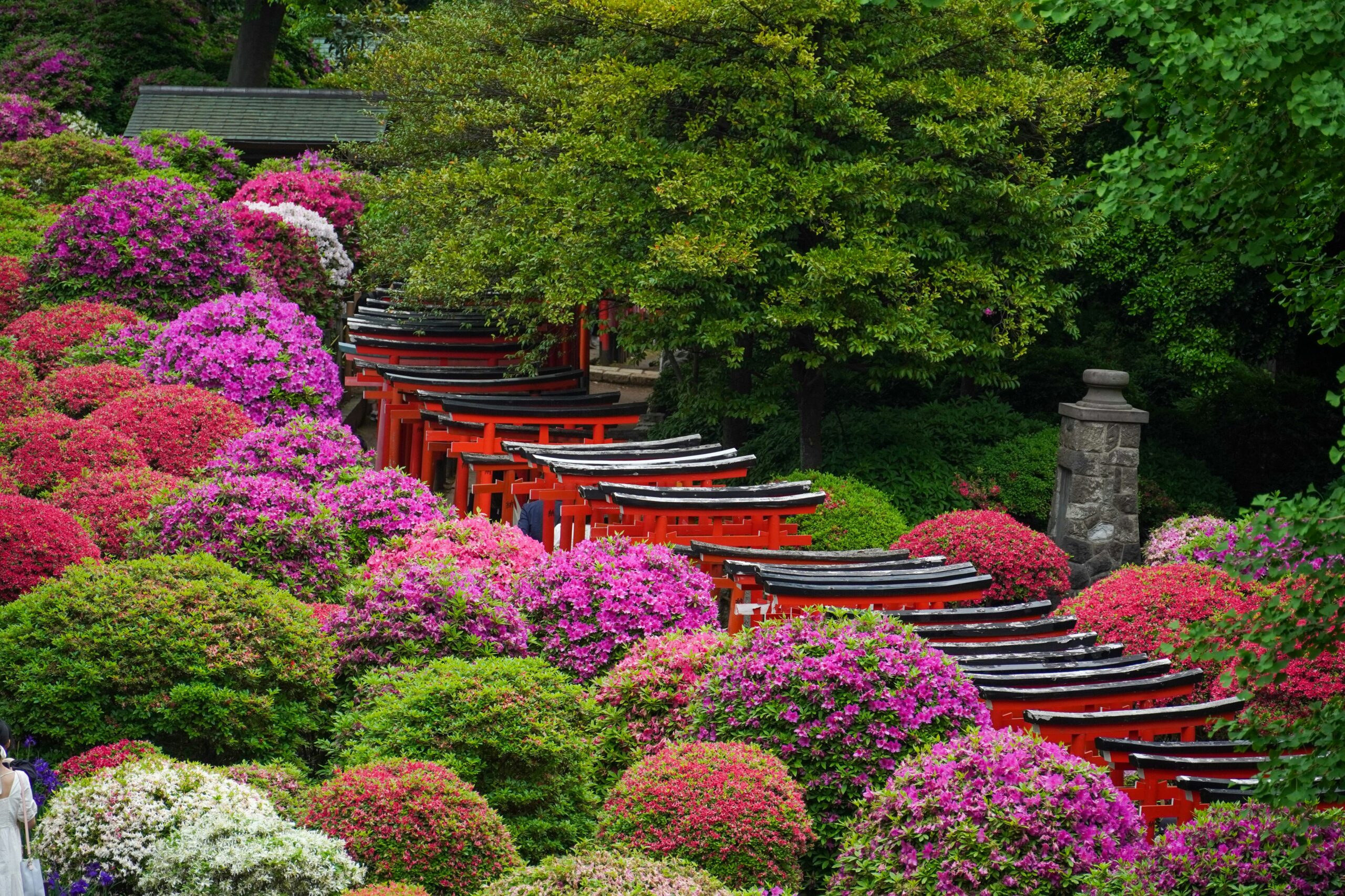 How to Create a Beautiful Garden Without Overspending
