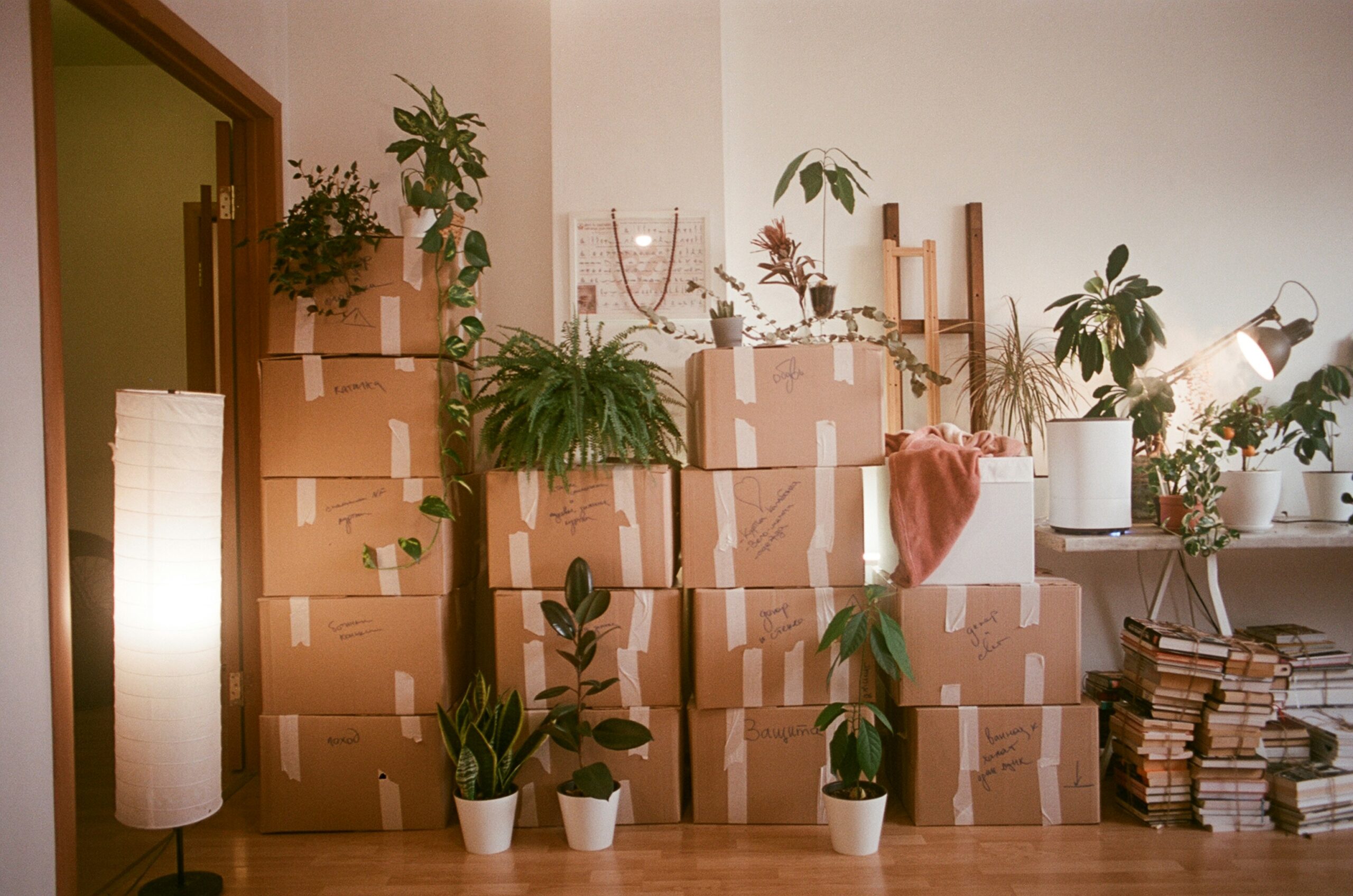 How to Make a Long-Distance Move Feel Less Chaotic