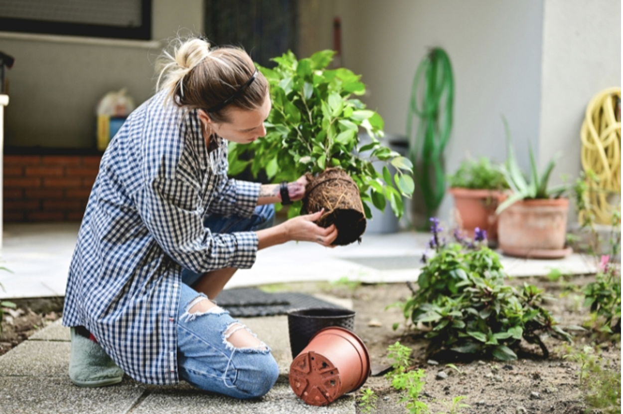 How Home Gardening Can Become a Rewarding Hobby